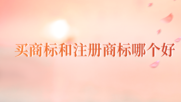 買(mǎi)商標(biāo)和注冊(cè)商標(biāo)哪個(gè)好